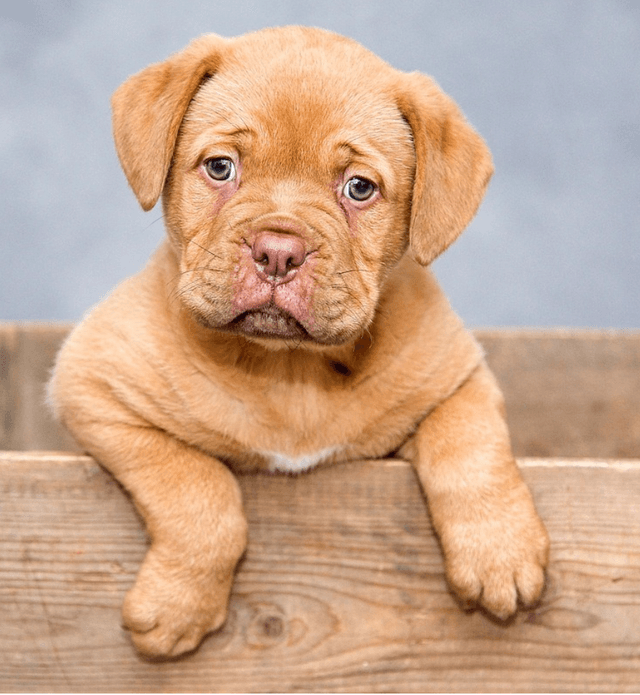 Input kleurplaat voorbeeld